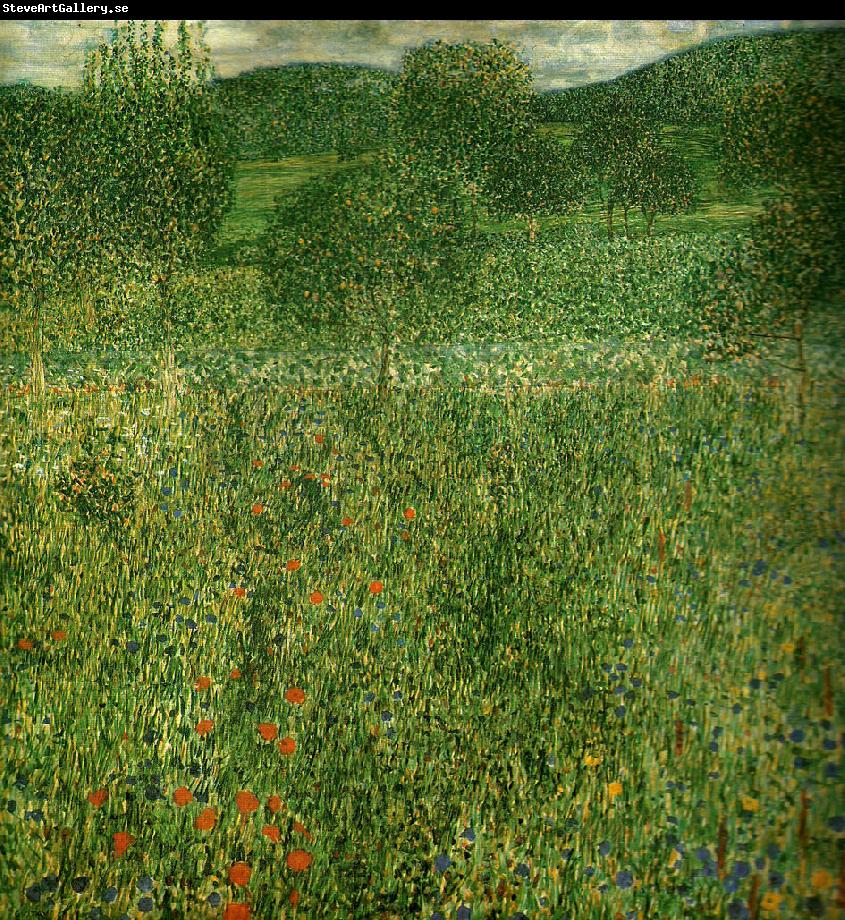 Gustav Klimt blommande falt